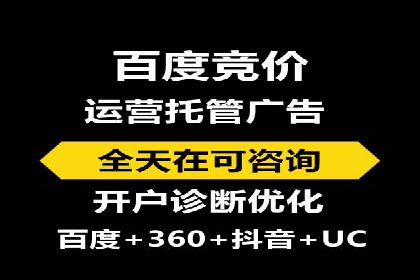 SEM公司案例分享：优化效果与转化率提升策略